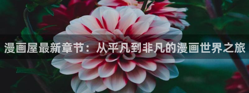 漫漫漫画高清漫画阅读